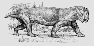 Illustration for article titled Why did nearly all life on Earth die 250 million years ago?